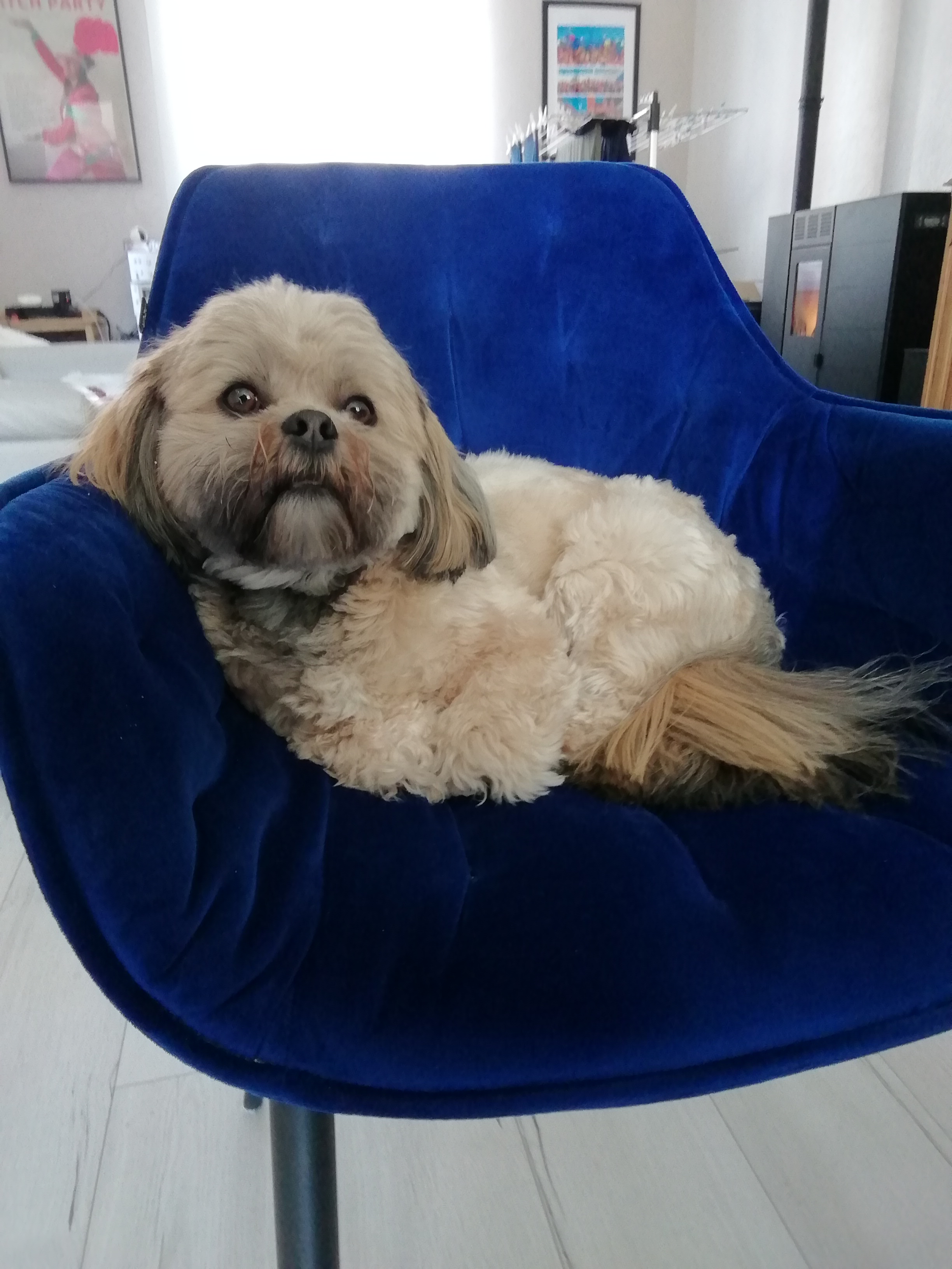 Avatar de Pierrelechene2356